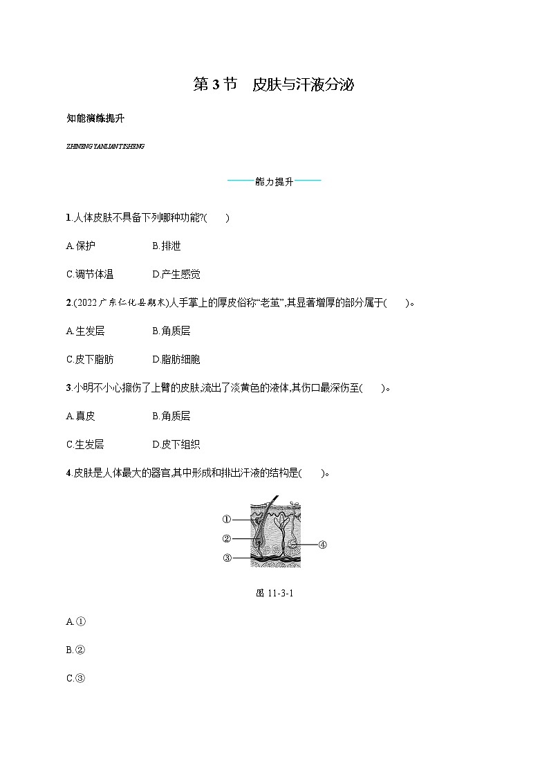 北师版初中生物七年级下册第11章人体代谢废物的排出第3节皮肤与汗液分泌练习含答案01