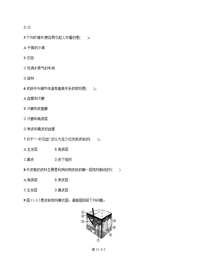 北师版初中生物七年级下册第11章人体代谢废物的排出第3节皮肤与汗液分泌练习含答案02