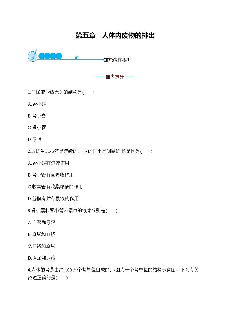 人教版（福建）初中生物七年级下册第五章人体内废物的排出练习含答案第1页