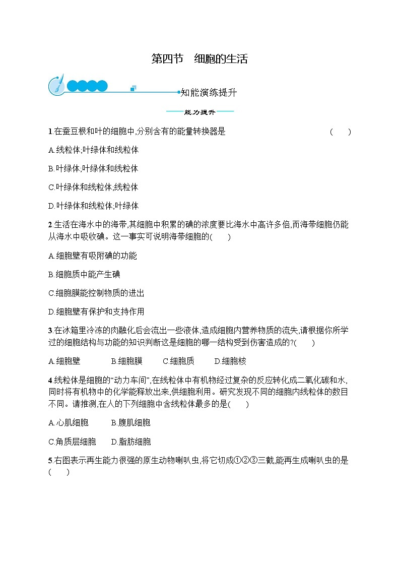 人教版初中生物七年级上册第2单元生物体的结构层次第1章第4节细胞的生活练习含答案第1页