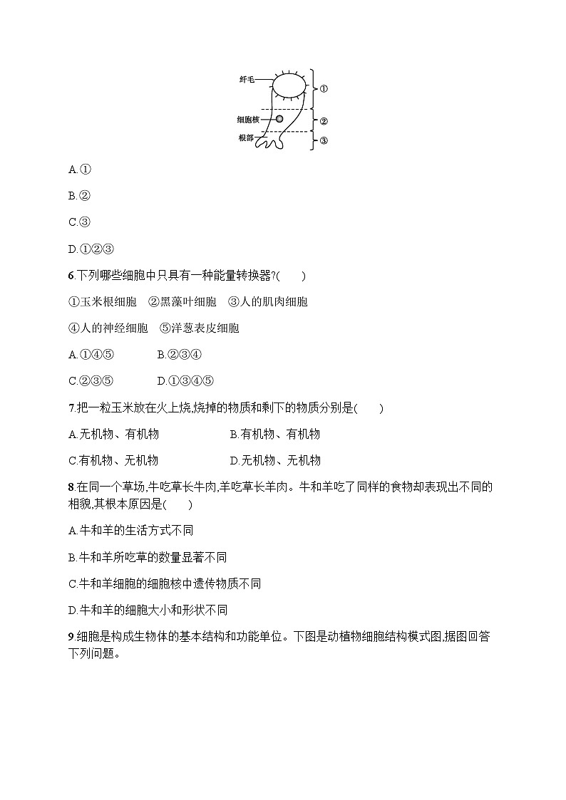 人教版初中生物七年级上册第2单元生物体的结构层次第1章第4节细胞的生活练习含答案第2页