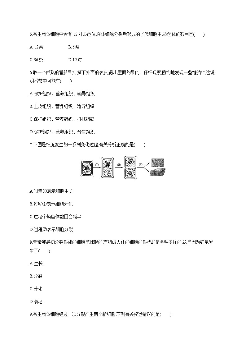 苏教版初中生物七年级上册第2单元第三章第三节细胞分裂与分化练习含答案02