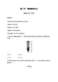 初中生物苏教版七年级上册第二节 植物根的生长练习题