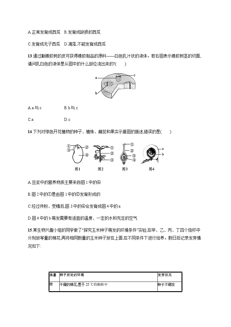 苏教版初中生物七年级上册第3单元第五章测评含答案03