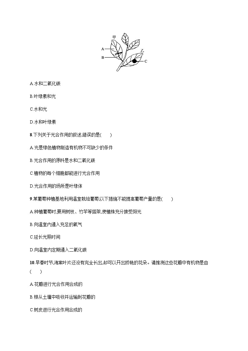 苏教版初中生物七年级上册第3单元第六章第三节植物光合作用的实质练习含答案第3页