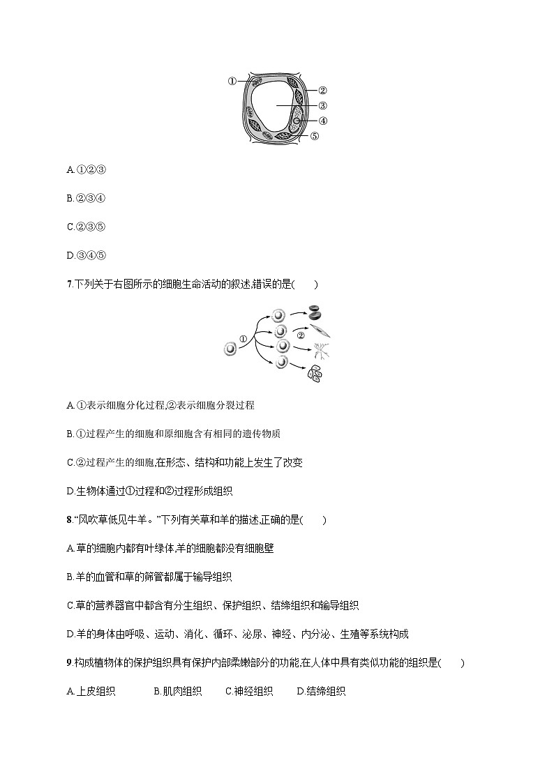 苏教版初中生物七年级上册期中测评含答案第2页