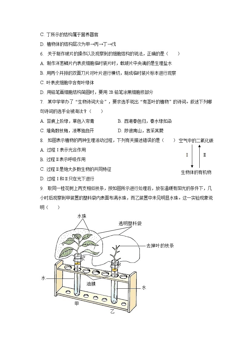 2023年山东省济南市槐荫区中考生物一模试卷（含解析）02