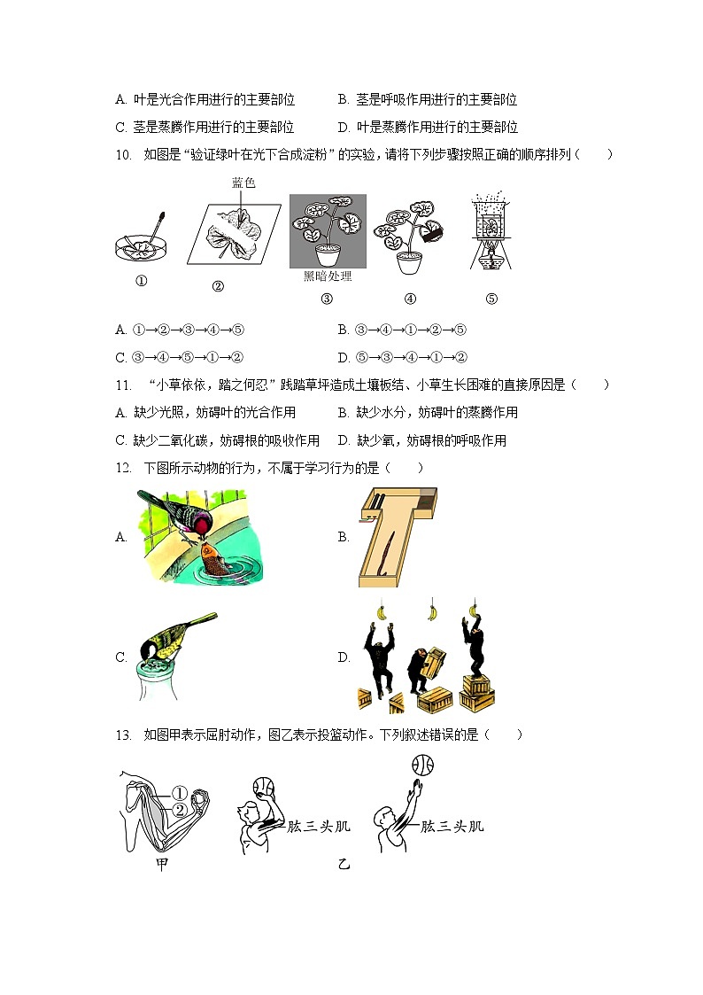 2023年山东省济南市槐荫区中考生物一模试卷（含解析）03