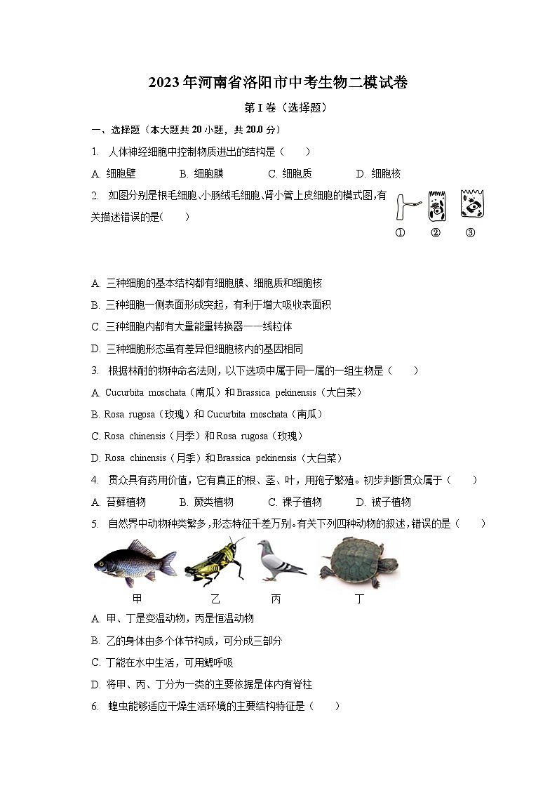 2023年河南省洛阳市中考生物二模试卷（含解析）01