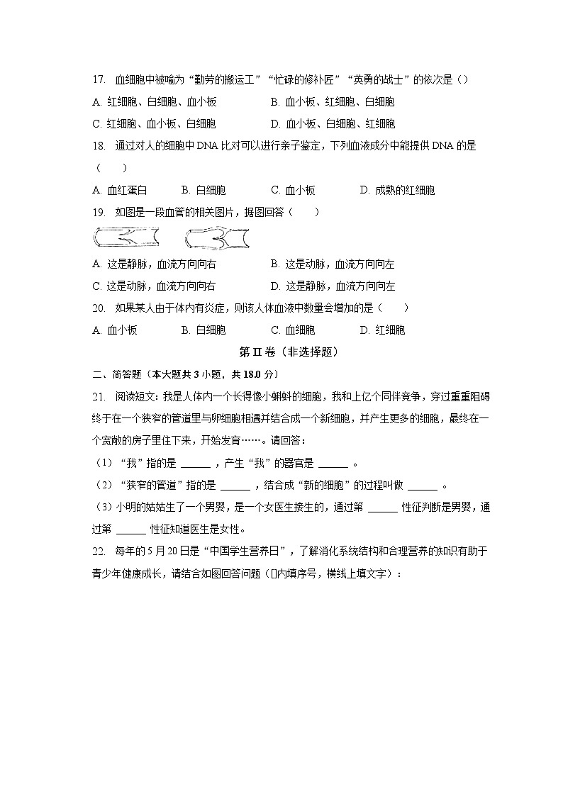 2022-2023学年河南省南阳市南召县七年级（下）期中生物试卷（含解析）第3页