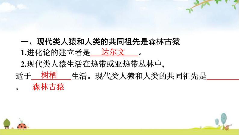人教版初中生物七年级下册第1章人的由来第1节人类的起源和发展练习课件第4页