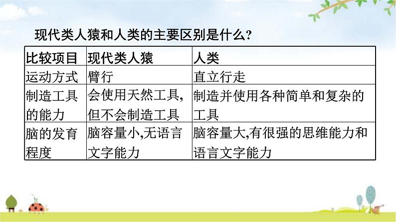 人教版初中生物七年级下册第1章人的由来第1节人类的起源和发展练习课件第8页