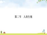 人教版初中生物七年级下册第1章人的由来第2节人的生殖练习课件
