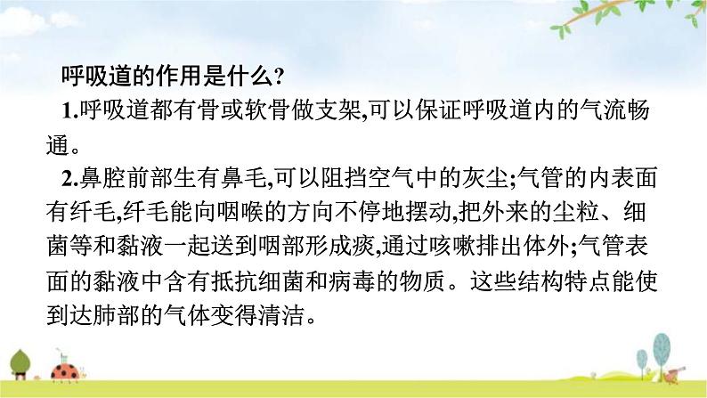 人教版初中生物七年级下册第3章人体的呼吸第1节呼吸道对空气的处理练习课件08