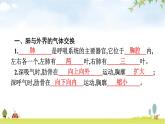 人教版初中生物七年级下册第3章人体的呼吸第2节发生在肺内的气体交换练习课件