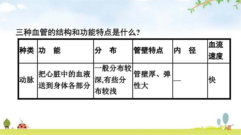 人教版初中生物七年级下册第4章人体内物质的运输第2节血流的管道——血管练习课件08