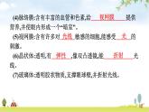 人教版初中生物七年级下册第6章人体生命活动的调节第1节人体对外界环境的感知练习课件