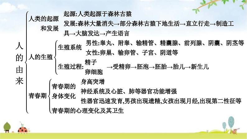 人教版初中生物七年级下册第一章整合练习课件第4页