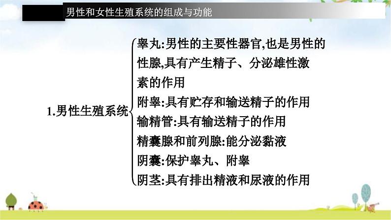 人教版初中生物七年级下册第一章整合练习课件第6页