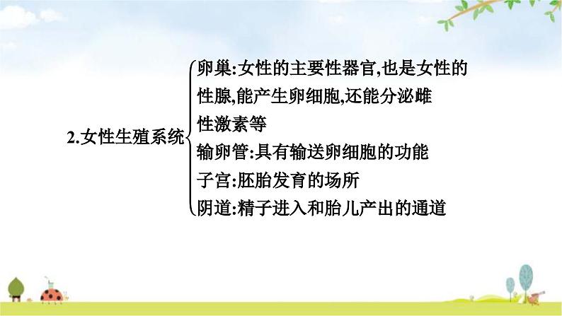 人教版初中生物七年级下册第一章整合练习课件第7页