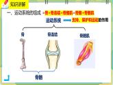 15.2.1《动物运动的形成》课件