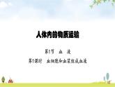 北师版初中生物七年级下册第9章人体内的物质运输第1节第1课时血细胞和血浆组成血液练习课件