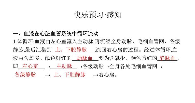 北师版初中生物七年级下册第9章人体内的物质运输第2节第2课时血液在心脏血管系统中循环流动、血压和脉搏练习课件03