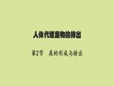 北师版初中生物七年级下册第11章人体代谢废物的排出第2节尿的形成与排出练习课件