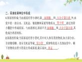 北师版初中生物七年级下册第11章人体代谢废物的排出第2节尿的形成与排出练习课件
