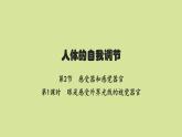 北师版初中生物七年级下册第12章人体的自我调节第2节第1课时眼是感受外界光线的视觉器官练习课件