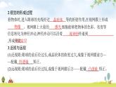 北师版初中生物七年级下册第12章人体的自我调节第2节第1课时眼是感受外界光线的视觉器官练习课件
