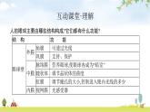 北师版初中生物七年级下册第12章人体的自我调节第2节第1课时眼是感受外界光线的视觉器官练习课件