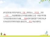 北师版初中生物七年级下册第12章人体的自我调节第2节第2课时耳、嗅黏膜和味蕾及人体其他感受器练习课件
