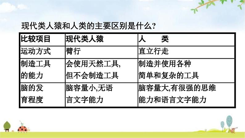 人教版（福建）初中生物七年级下册第一章人的由来第一节人类的起源和发展练习课件第8页