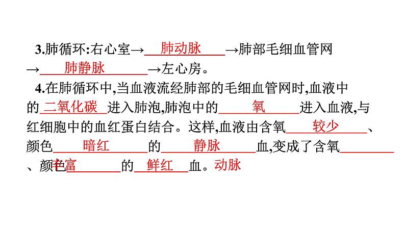 人教版（福建）初中生物七年级下册第四章人体内物质的运输第三节输送血液的泵——心脏练习课件07