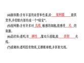 人教版（福建）初中生物七年级下册第六章人体生命活动的调节第一节人体对外界环境的感知练习课件