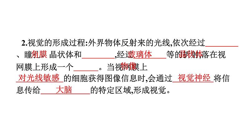 人教版（福建）初中生物七年级下册第六章人体生命活动的调节第一节人体对外界环境的感知练习课件第6页