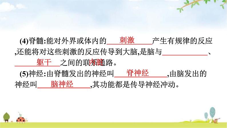 人教版（福建）初中生物七年级下册第六章人体生命活动的调节第二节神经系统的组成练习课件第6页