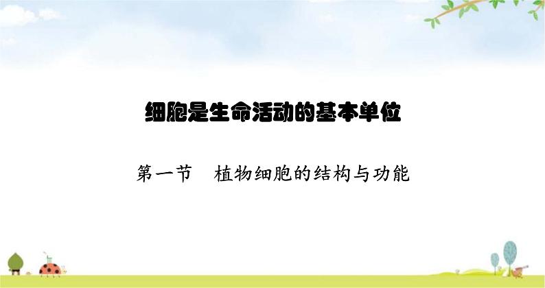 苏教版初中生物七年级上册第2单元第三章第一节植物细胞的结构与功能练习课件01