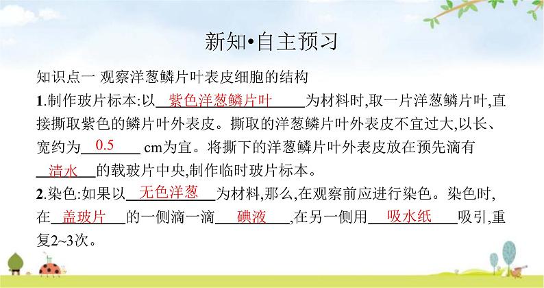 苏教版初中生物七年级上册第2单元第三章第一节植物细胞的结构与功能练习课件03