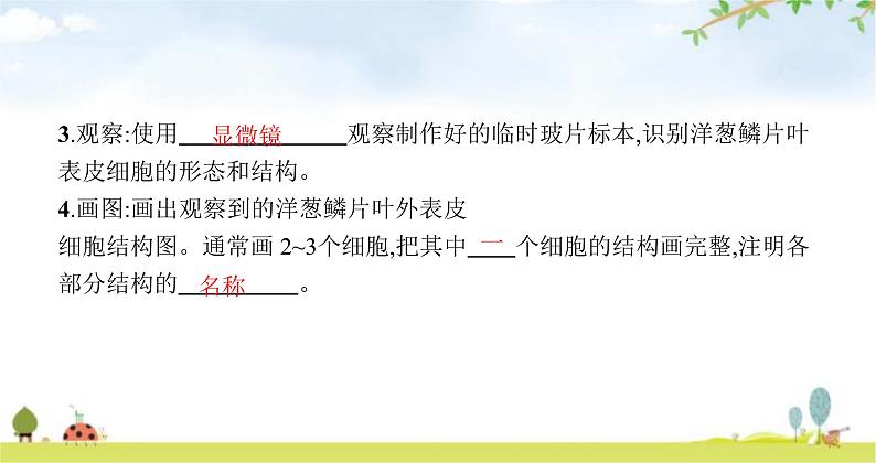 苏教版初中生物七年级上册第2单元第三章第一节植物细胞的结构与功能练习课件04