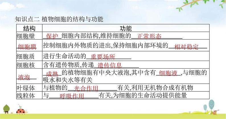 苏教版初中生物七年级上册第2单元第三章第一节植物细胞的结构与功能练习课件05