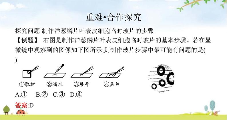 苏教版初中生物七年级上册第2单元第三章第一节植物细胞的结构与功能练习课件06