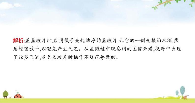 苏教版初中生物七年级上册第2单元第三章第一节植物细胞的结构与功能练习课件07