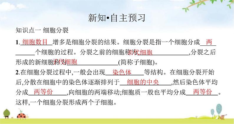 苏教版初中生物七年级上册第2单元第三章第三节细胞分裂与分化练习课件03