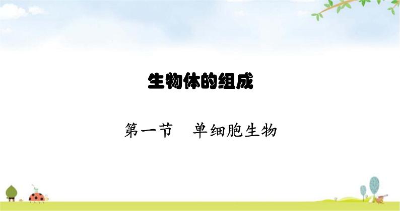 苏教版初中生物七年级上册第2单元第四章第一节单细胞生物练习课件01