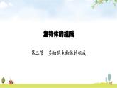 苏教版初中生物七年级上册第2单元第四章第二节多细胞生物体的组成练习课件
