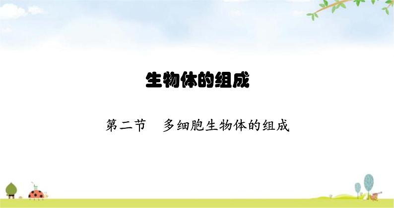 苏教版初中生物七年级上册第2单元第四章第二节多细胞生物体的组成练习课件第1页