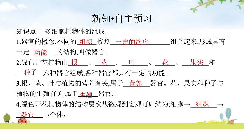 苏教版初中生物七年级上册第2单元第四章第二节多细胞生物体的组成练习课件第3页