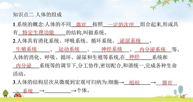 苏教版初中生物七年级上册第2单元第四章第二节多细胞生物体的组成练习课件第4页